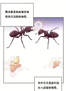 Page 501 of 秘香／費洛蒙香水／Pheromone Holic - preview thumbnail