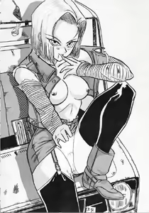 Page 335 of Dragon Ball - Android 18 - preview thumbnail