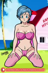 Page 289 of Dragon Ball - Bulma Briefs - preview thumbnail