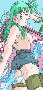 Page 16 of Dragon Ball - Bulma Briefs - preview thumbnail