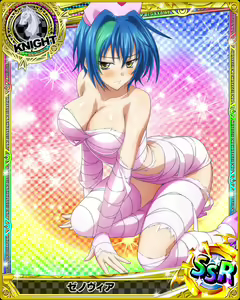 Page 826 of High School DxD - Xenovia Quarta - preview thumbnail