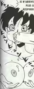 Page 137 of Dragon Ball - Videl - preview thumbnail