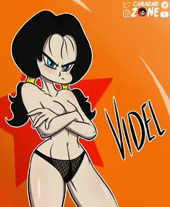 Page 210 of Dragon Ball - Videl - preview thumbnail