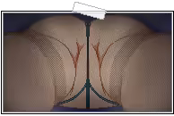 Page 1290 of Amaenbo Fuyu (decensored) - preview thumbnail