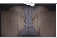Page 1311 of Amaenbo Fuyu (decensored) - preview thumbnail