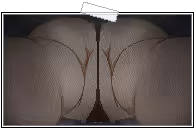 Page 1314 of Amaenbo Fuyu (decensored) - preview thumbnail