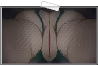 Page 1315 of Amaenbo Fuyu (decensored) - preview thumbnail