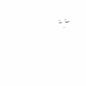 Page 576 of Fina to Junrei no Shiren - preview thumbnail