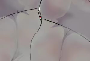 Page 77 of Usarou - preview thumbnail