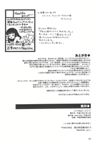 Page 30 of Rati-2 - preview thumbnail