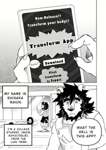 Page 3 of Transform App - preview thumbnail