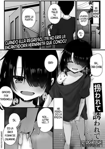 Sarawarete Sasowarete — hentai manga cover on Fhentai