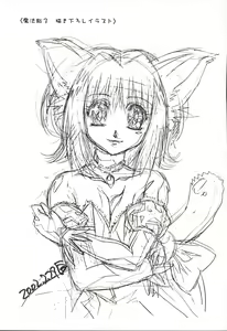 Page 20 of Mahou Ame 3rd - preview thumbnail
