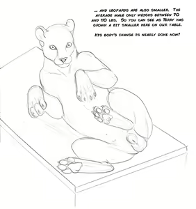 Page 33 of Arania  Comic Archive O1 - preview thumbnail