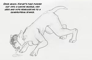 Page 512 of Arania  Comic Archive O1 - preview thumbnail