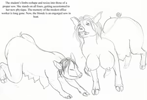 Page 462 of Arania Comic Archive O3 - preview thumbnail