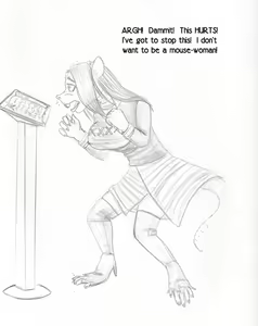 Page 332 of Arania Comic Archive O5 - preview thumbnail
