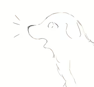 Page 61 of *NIKA* - preview thumbnail