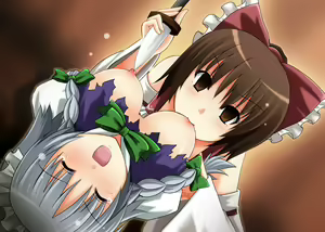 Page 495 of Touhou Project Collection - preview thumbnail