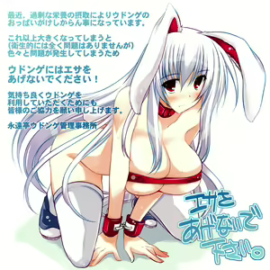Page 233 of Touhou Project Collection - preview thumbnail