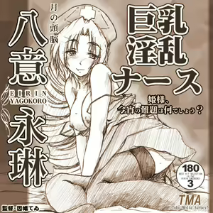 Page 43 of Touhou Project Collection - preview thumbnail