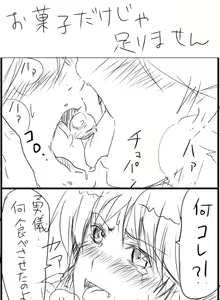 Page 1073 of Touhou Project Collection - preview thumbnail