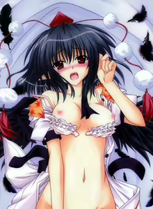 Page 323 of Touhou Project Collection - preview thumbnail