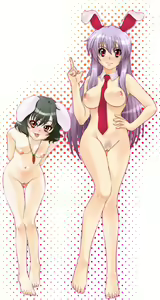 Page 303 of Touhou Project Collection - preview thumbnail