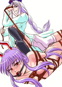 Page 639 of Touhou Project Collection - preview thumbnail