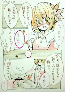 Page 524 of Touhou Project Collection - preview thumbnail