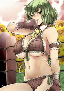 Page 321 of Touhou Project Collection - preview thumbnail