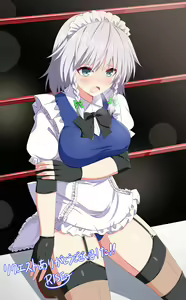Page 486 of Touhou Project Collection - preview thumbnail