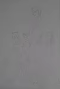 Page 149 of Tendedame - preview thumbnail