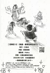 Page 26 of Hyakkasou 12 <<Jitsuroku Makyou Hyakkasou Kikou>> - preview thumbnail
