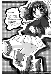 Page 6 of Sokkyou Copy Hon - preview thumbnail