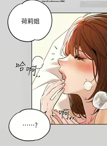 Page 242 of 韩漫：富家女姐姐 1-25 官中 - preview thumbnail