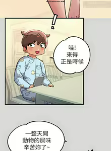 Page 999 of 韩漫：富家女姐姐 51-75 官中 - preview thumbnail