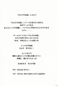 Page 27 of NISE Zelda no Densetsu Shinshou - preview thumbnail