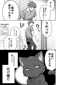 Page 4 of Uchi no Yandere na Kaineko-chan ni Mechakucha ni Shiborarechau Hanashi +  Yandere Kai Neko Series - preview thumbnail