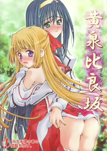 Yomotsu Hirasaka - hentai manga cover image