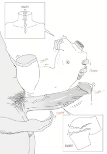 Page 5 of 20.Custom order - preview thumbnail