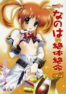 Nanoha no Zettai Zetsumei Special - hentai manga cover image