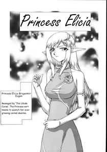 Hajime Taira Type H, Chapter Princess Elicia Rewrite — hentai manga cover on Fhentai