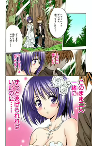 Page 569 of To Love-Ru Trouble manga fanservice compilation FULL COLOR - preview thumbnail