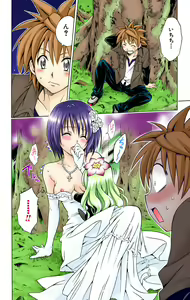 Page 570 of To Love-Ru Trouble manga fanservice compilation FULL COLOR - preview thumbnail