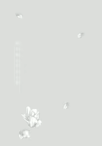 Page 165 of Mure Ochiru Shiroi Hana - preview thumbnail