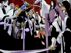 Page 262 of Unohana Retsu - preview thumbnail