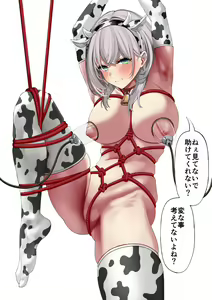 Shirogane Noel Kinbaku — hentai manga cover on Fhentai