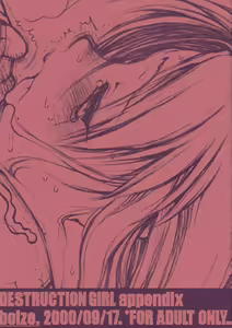 DESTRUCTION GIRL Appendix — hentai manga cover on Fhentai