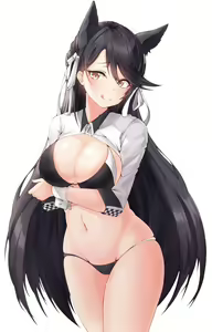 Page 103 of Atago - preview thumbnail